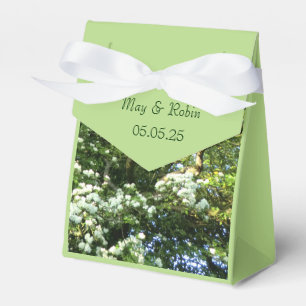 Regalos Caja de orugas de Hawthorn y roble para las mangue
