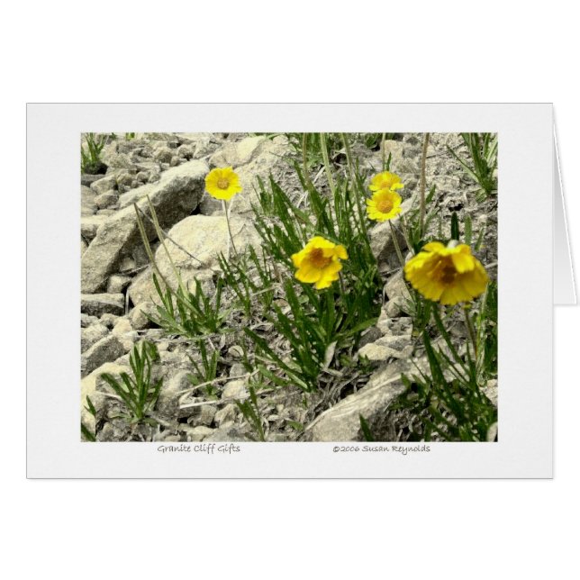 Regalos de acantilado de granito (Anverso (Horizontal))