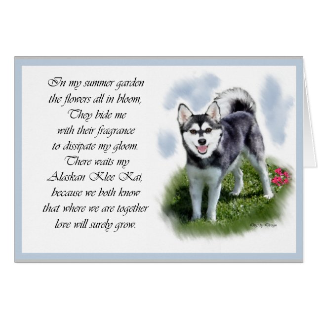 Regalos de Alaskan Klee Kai (Anverso (Horizontal))