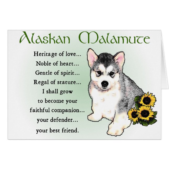 Regalos de Alaskan Malamute (Anverso (Horizontal))