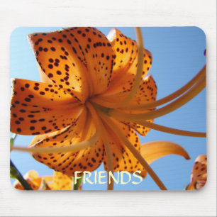 Regalos de AMISTAD Alfombrilla de ratón Naranja Li