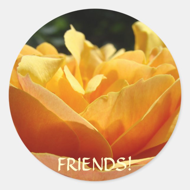 REGALOS de Amistad Flores de Rosa PEGATINAS (Anverso)