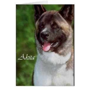 Regalos de arte de Akita