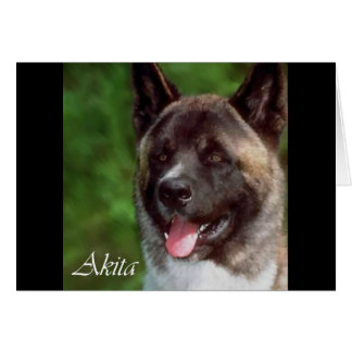 Regalos de arte de Akita