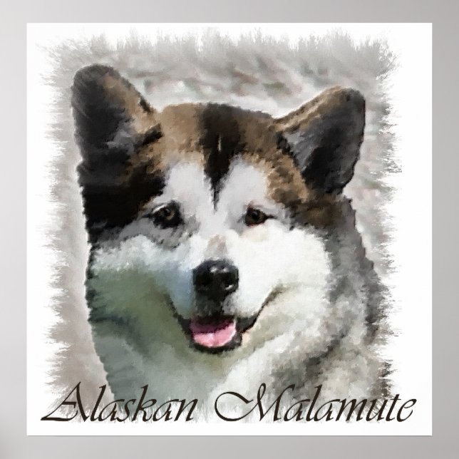 Regalos de arte de Alaska Malamute (Frente)