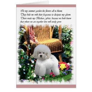 Regalos de arte de Bichon Frise
