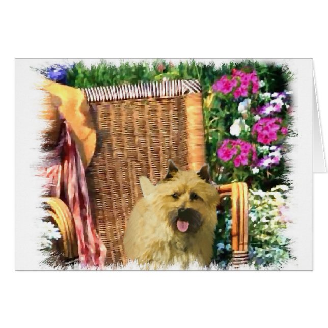 Regalos de arte de Cairn Terrier (Anverso (Horizontal))