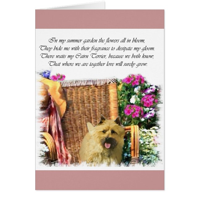 Regalos de arte de Cairn Terrier (Frente)