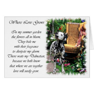 Regalos de arte de Dalmacia