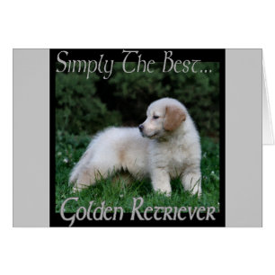 Regalos de arte de Golden Retriever