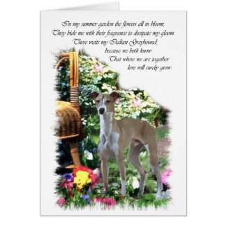 Regalos de arte de Greyhound en Italia