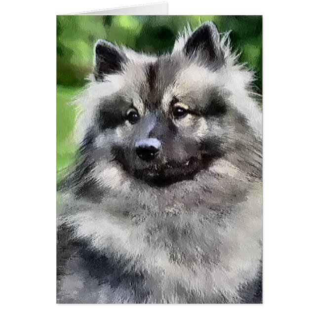 Regalos de arte de Keeshond (Frente)