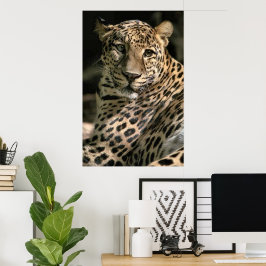 Regalos de arte de leopardo juvenil