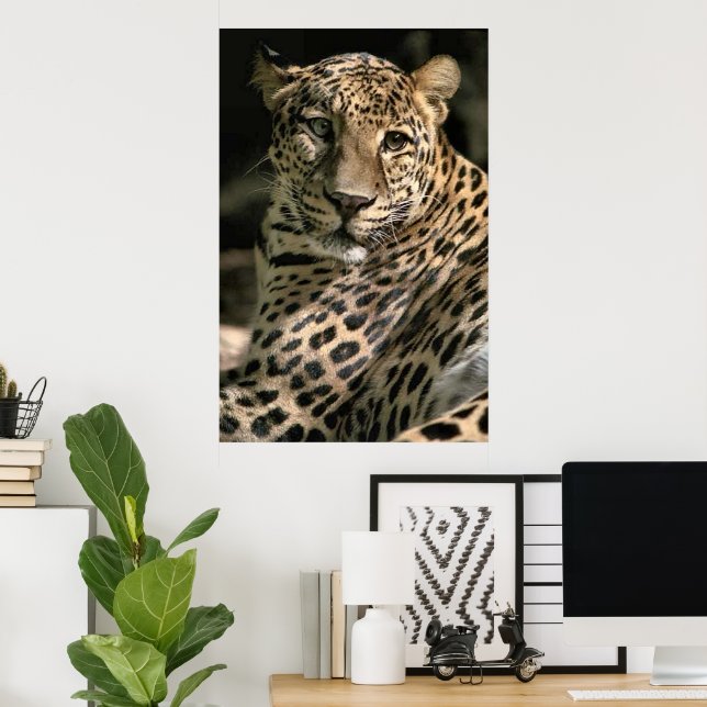 Regalos de arte de leopardo juvenil (Oficina en casa)