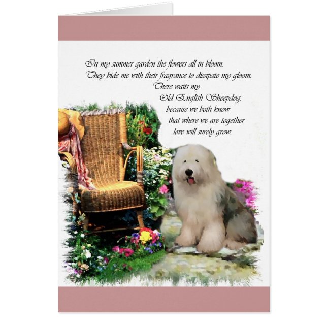 Regalos de arte de Sheepdog ingleses viejos (Frente)