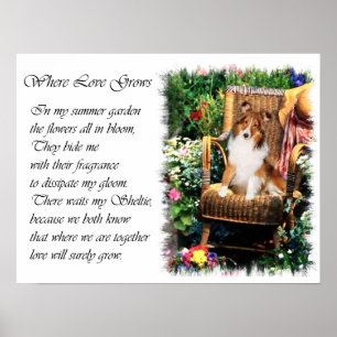 Regalos de arte de Shetland Sheepdog Sheltie