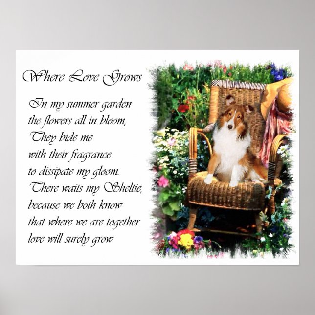 Regalos de arte de Shetland Sheepdog Sheltie (Frente)
