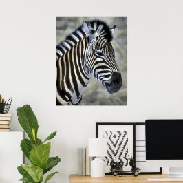 Regalos de arte de Zebra Lovers