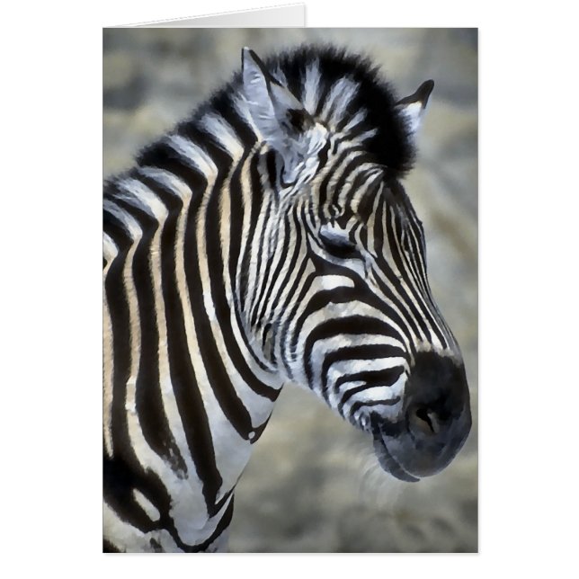 Regalos de arte de Zebra Lovers (Frente)