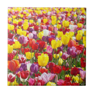 Regalos de arte en baldosas de flores de tulipán d