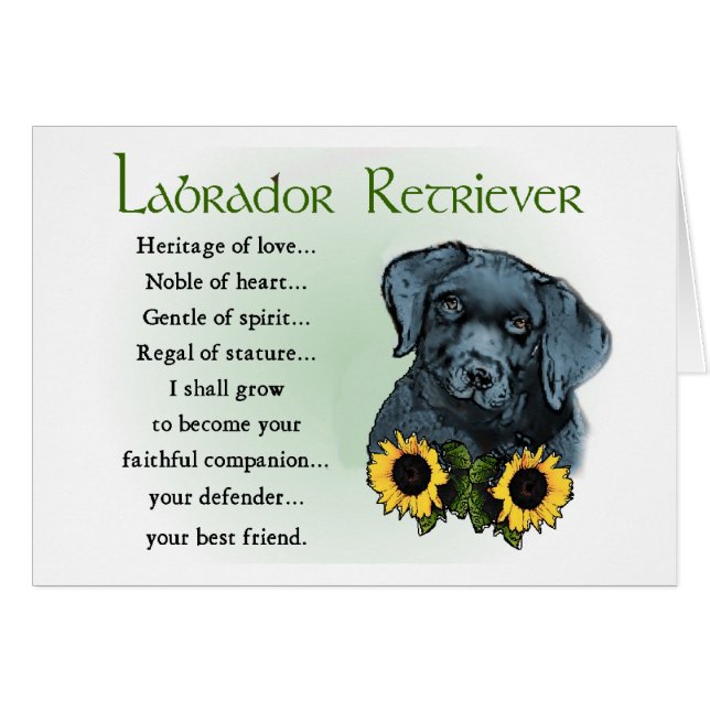 Regalos de cachorros de Labrador Negro (Anverso (Horizontal))
