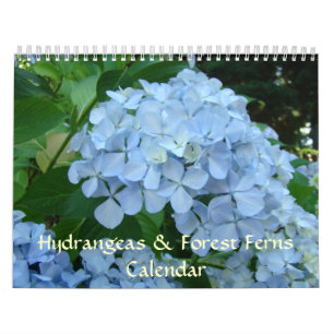 Regalos de calendario de HYDRANGEAS & HELECHOS DEL