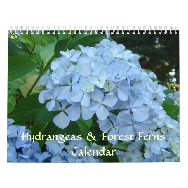 Regalos de calendario de HYDRANGEAS & HELECHOS DEL (Tapa)