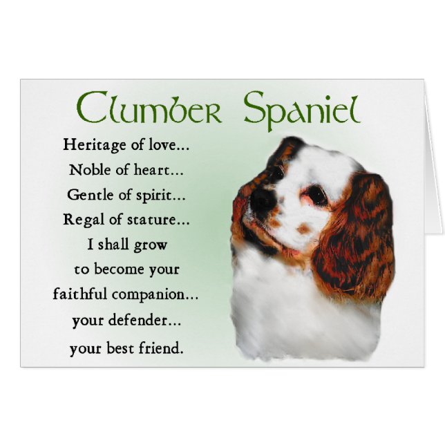 Regalos de Clumber Spaniel (Anverso (Horizontal))