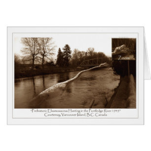 Regalos de Elasmosaurus