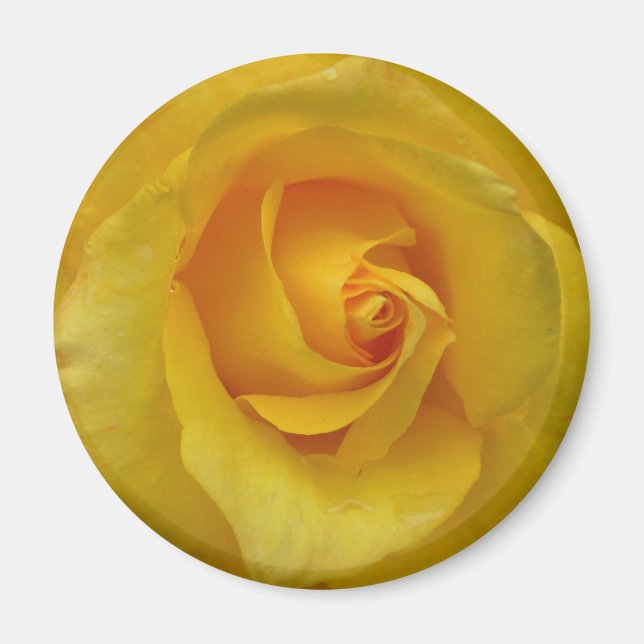 Regalos de flores de imán rosa amarillo Keepsake D (Frente)