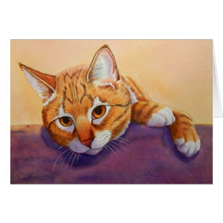 Regalos de gatos de tabby