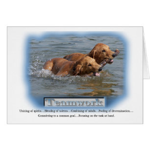 Regalos de Golden Retriever