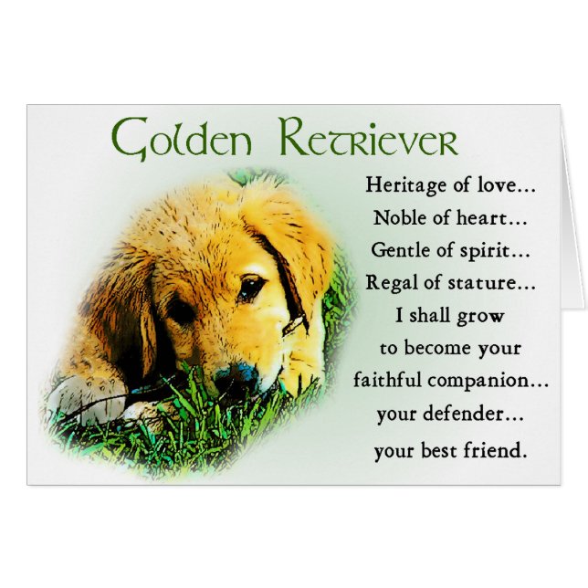 Regalos de Golden Retriever (Anverso (Horizontal))