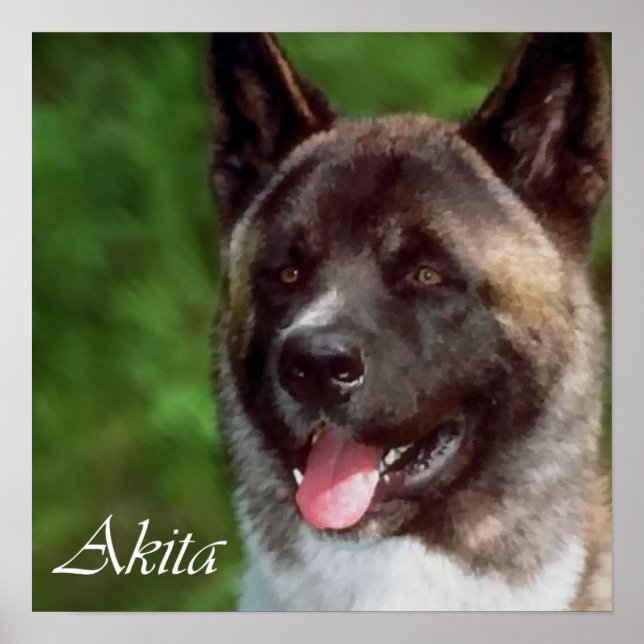 Regalos de impresión artística de Akita (Frente)