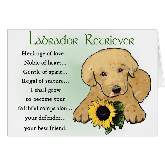Regalos de Labrador Recuperador (Anverso (Horizontal))
