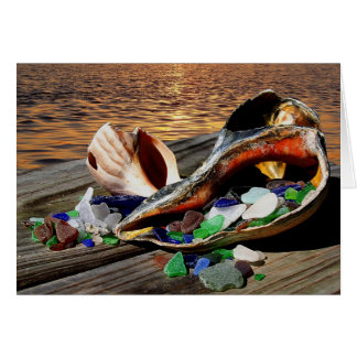 ¡Regalos de las tarjetas del mar!