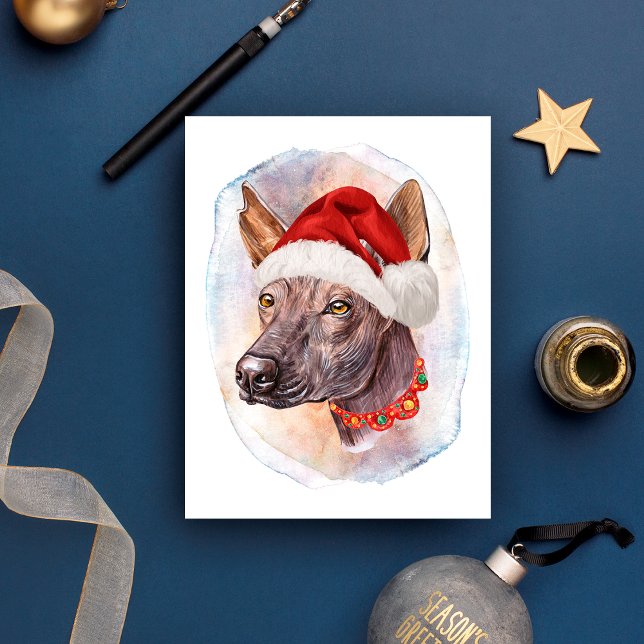 Regalos de Navidad de Perro sin Pelo Mexicano para (Subido por el creador)