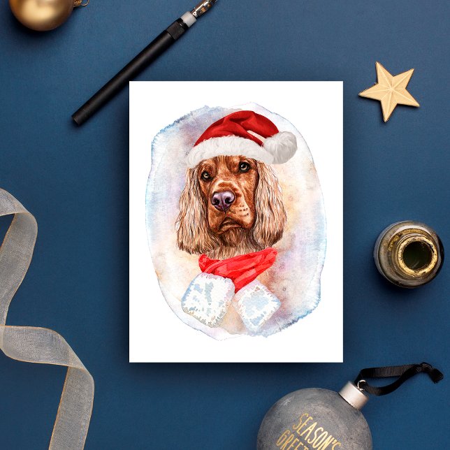 Regalos de Navidad para Cocker Spaniel Inglés Aman (Subido por el creador)