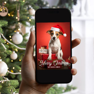 Regalos de Navidad para Perro Jack Russel Terrier 