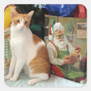 Regalos de Navidades de Kagan - Pegatinas gatos/ga
