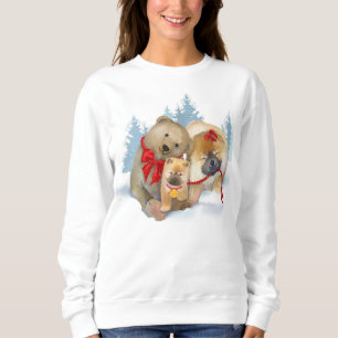 REGALOS DE OSO de peluche y sudadera de chow