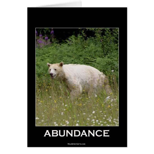 Regalos de oso espiritual (Frente)