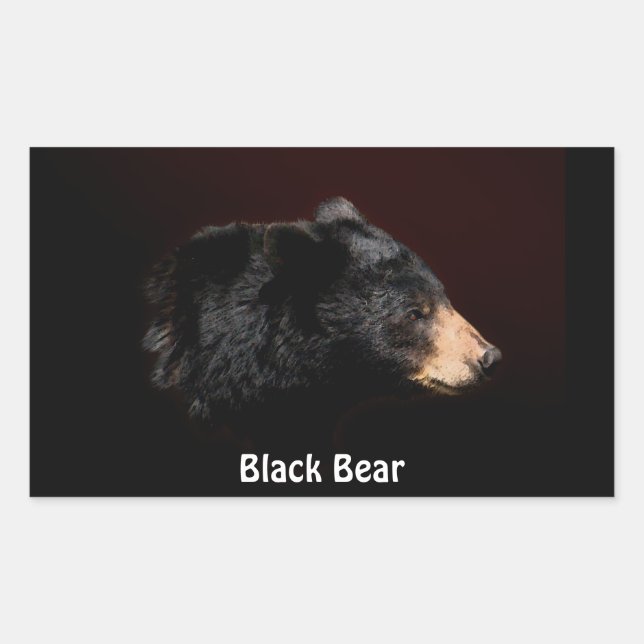 Regalos de Pegatinas de vida salvaje de oso negro (Anverso)
