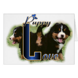 Regalos de perros de montaña de Bernese