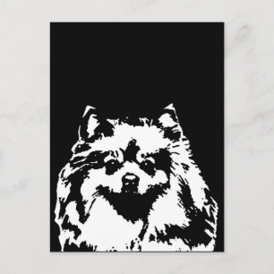 Regalos de Pomerania - postal