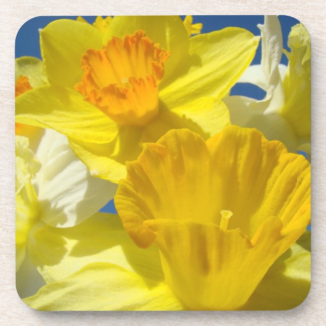 Regalos de posavasos de corcho Flores de narciso a (Frente)