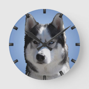Regalos de reloj Husky Decoran Reloj de pared de p