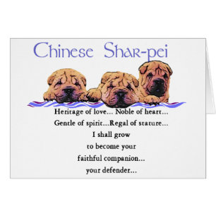 Regalos de Shar-pei chinos