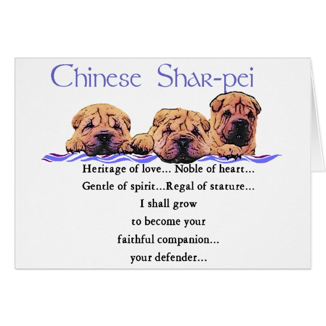 Regalos de Shar-pei chinos (Anverso (Horizontal))