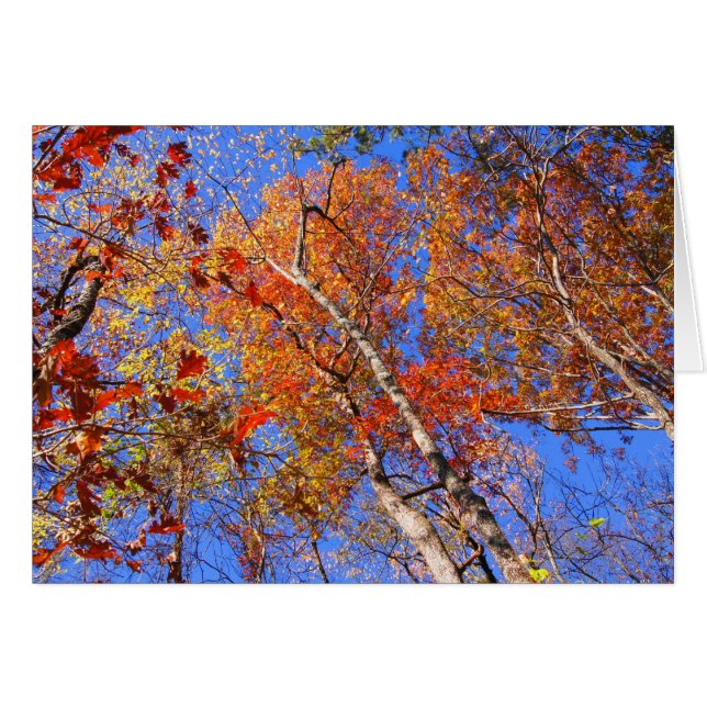 Regalos del parque nacional West Mt Otoño Hot Spri (Anverso (Horizontal))